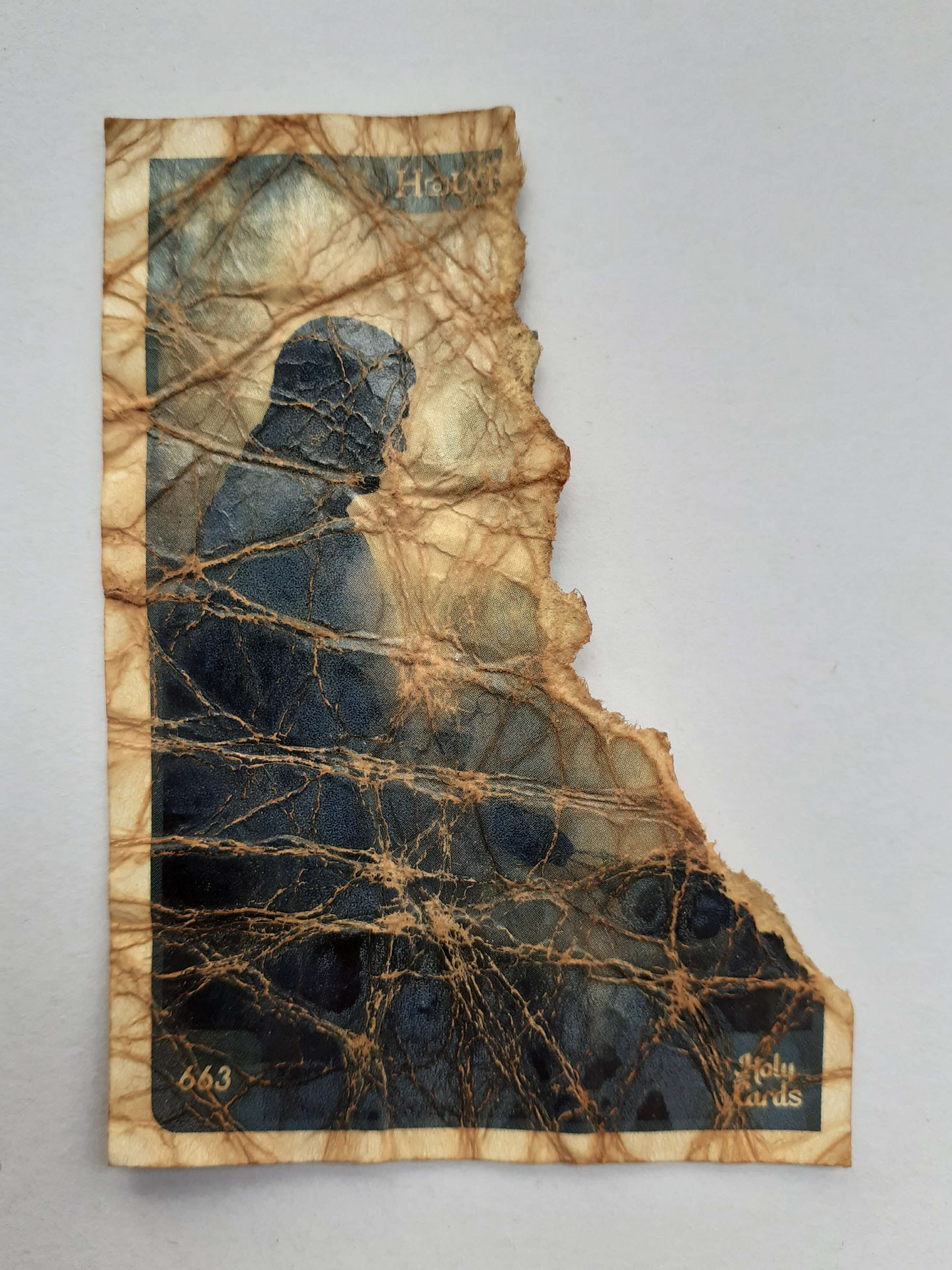 holy-card-distortion-20